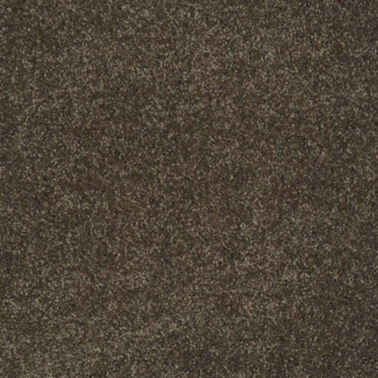 You Know It in Sedona Carpet