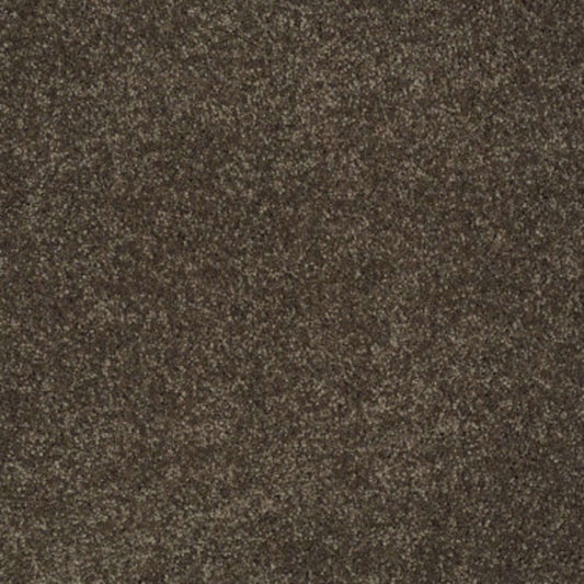 You Know It in Sedona Carpet