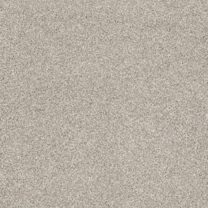 What's Up in Cork Board Carpet
