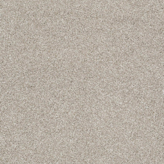What's Up in Cork Board Carpet
