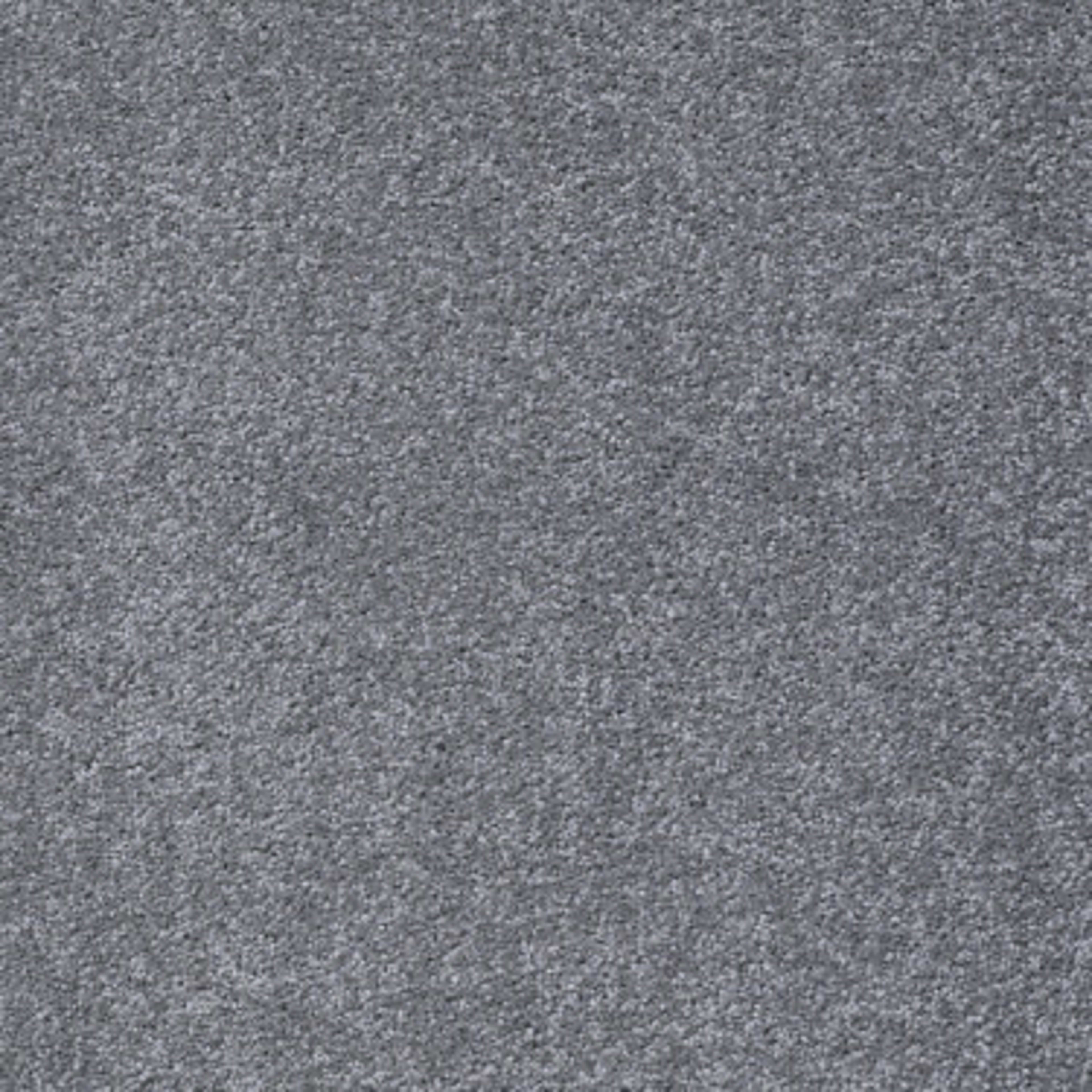 Something Sweet in Mindful Gray Carpet