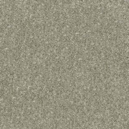NEWBERN CLASSIC 15' in Suede Carpet