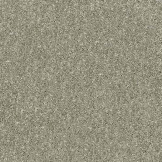 NEWBERN CLASSIC 15' in Suede Carpet