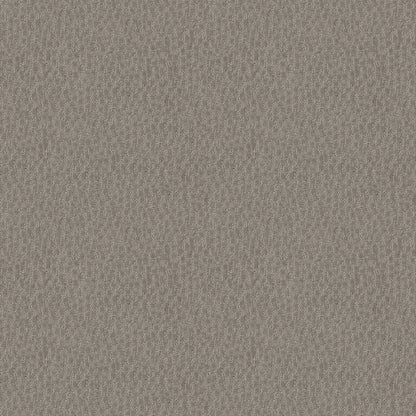 LATTICE in Mineral Carpet