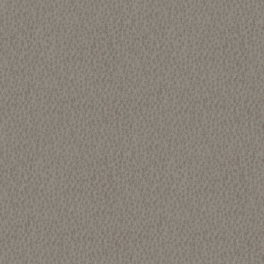 LATTICE in Mineral Carpet