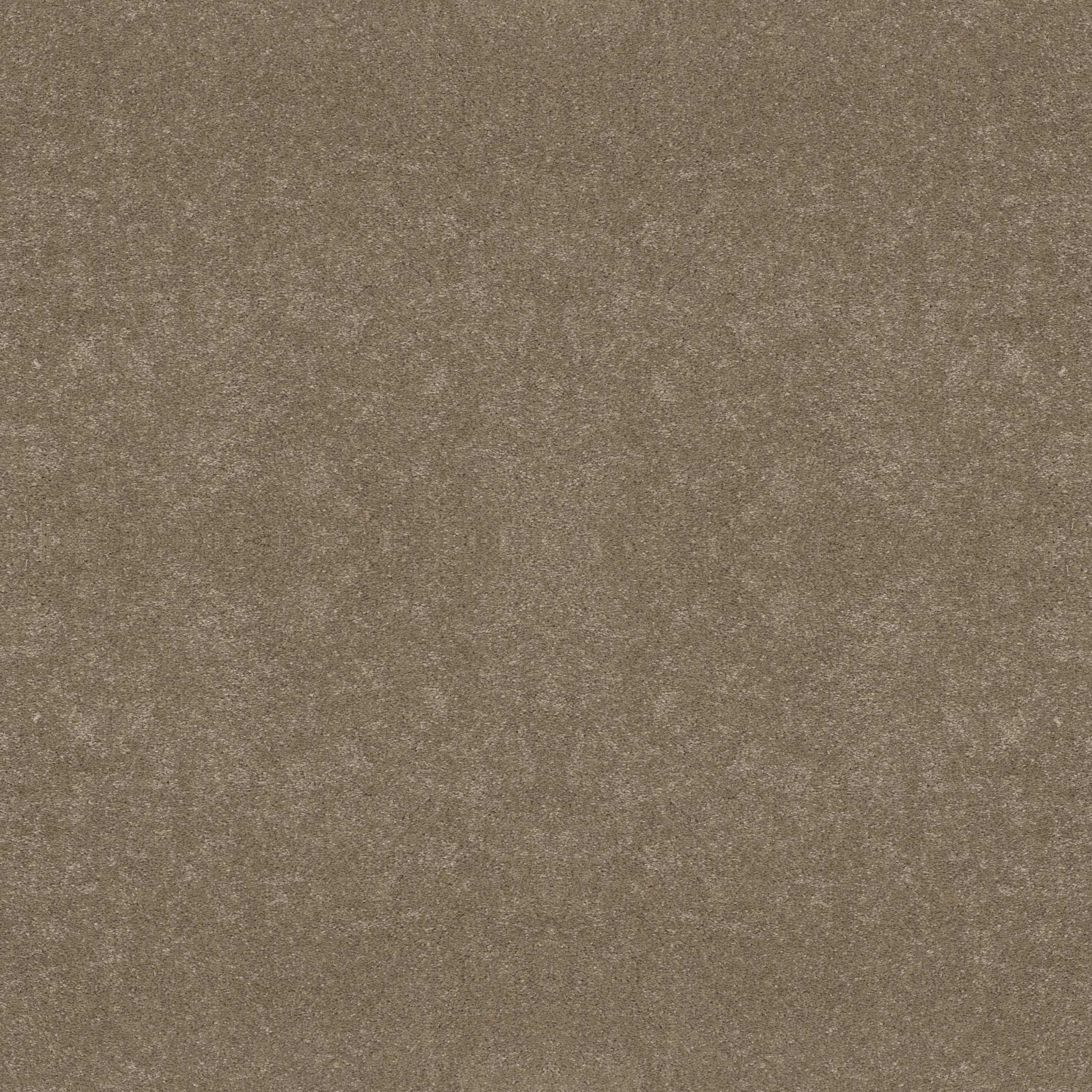 BASIC RULES in Gold Rush Carpet