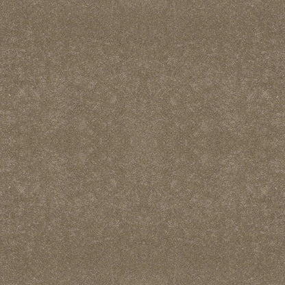 BASIC RULES in Gold Rush Carpet