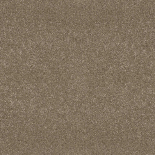 BASIC RULES in Gold Rush Carpet