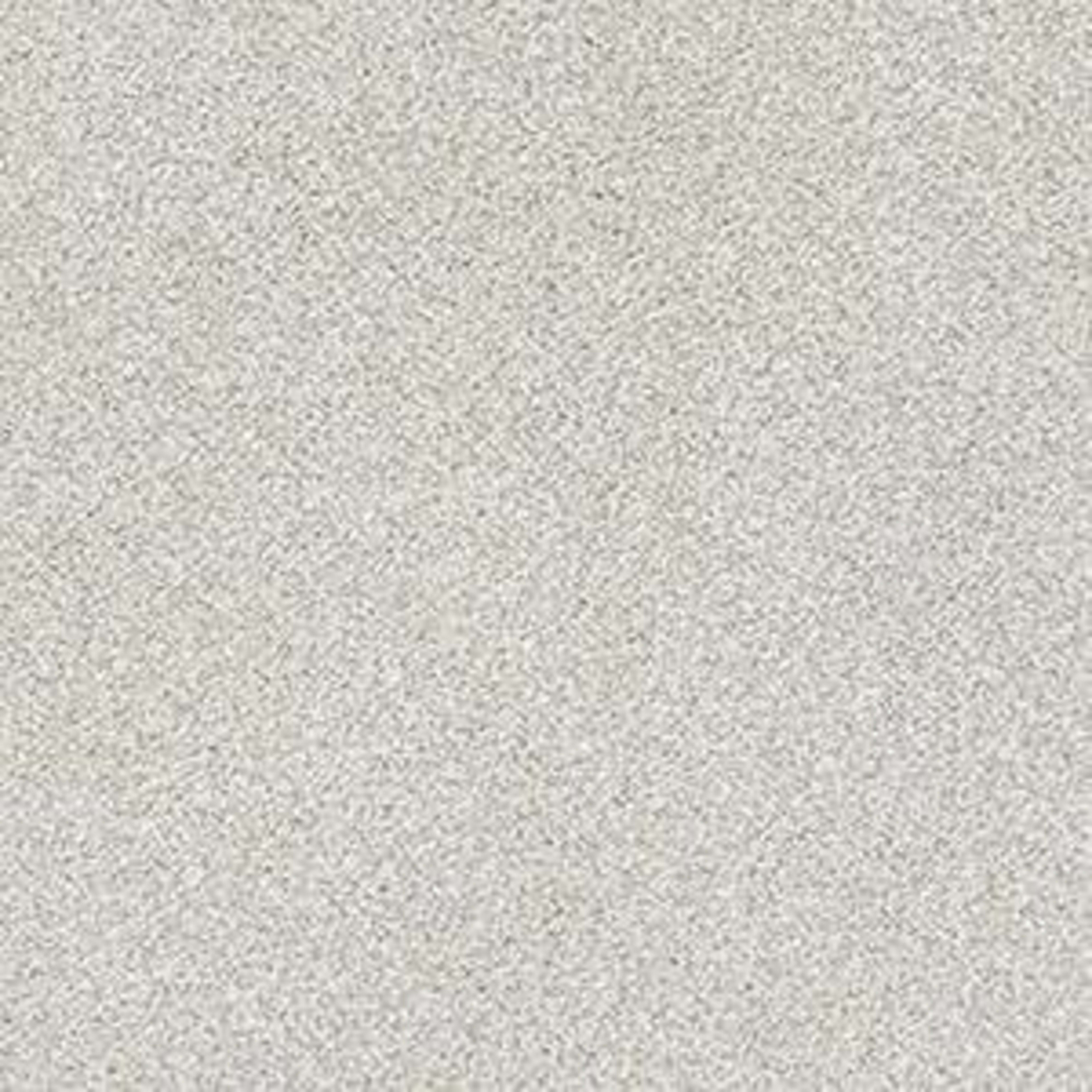 JUST A HINT II in Nickel Carpet