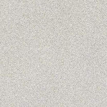 JUST A HINT II in Nickel Carpet