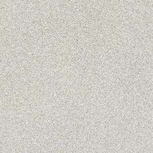 JUST A HINT II in Nickel Carpet
