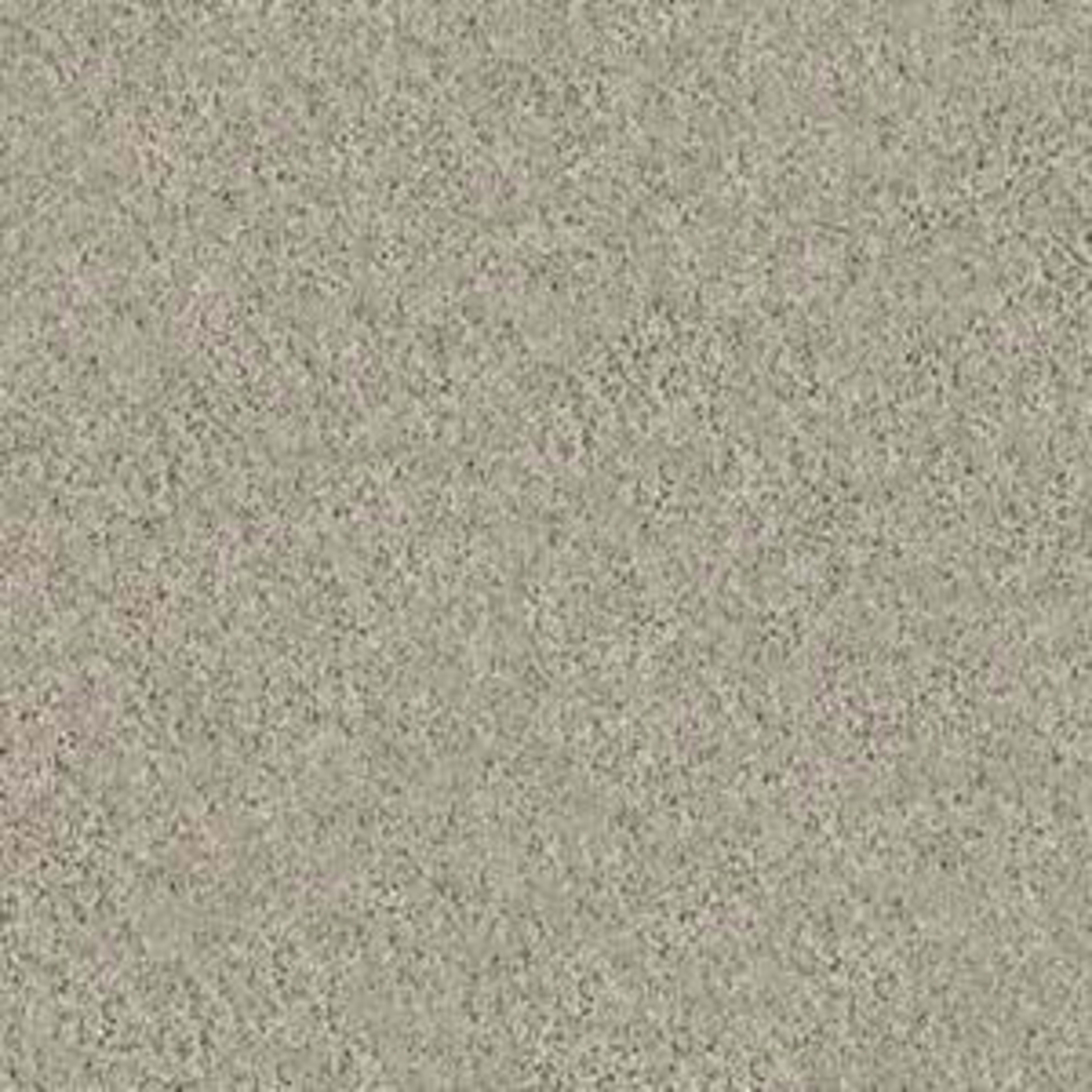 KEEN SENSES I in Barista Carpet