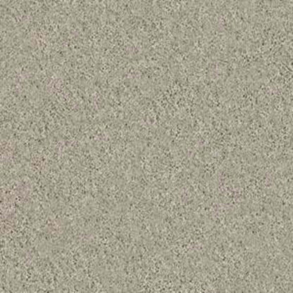 KEEN SENSES I in Barista Carpet