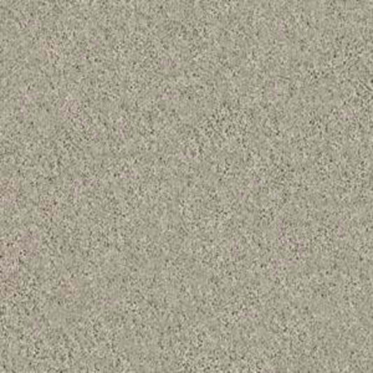 KEEN SENSES I in Barista Carpet