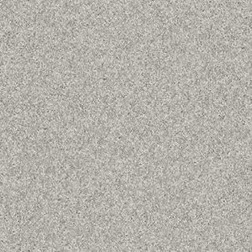 KEEN SENSES I in Lady In Gray