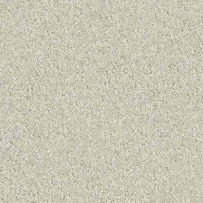 KEEN SENSES II in Ivory Paper Carpet