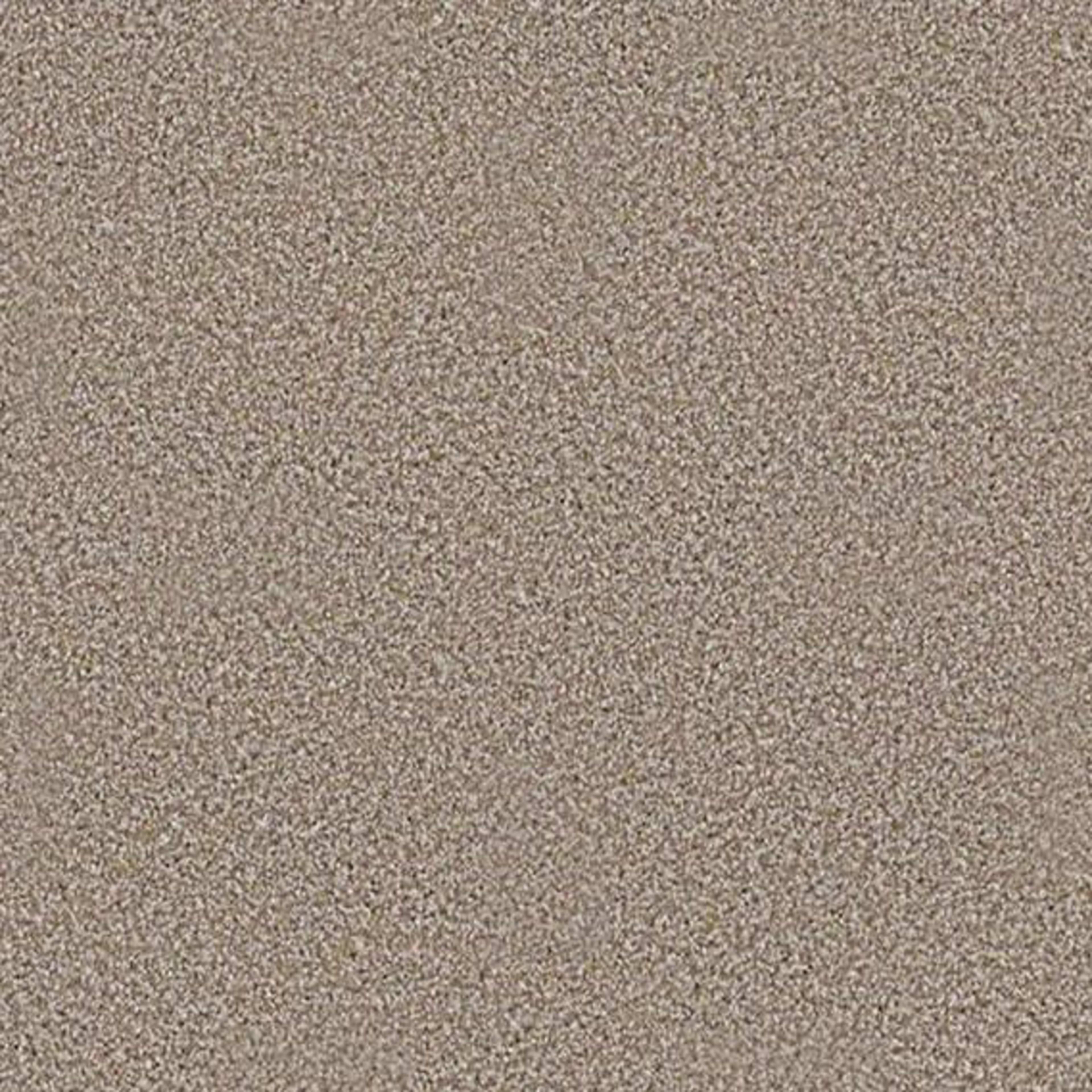 ALWAYS READY I in Summerville Carpet