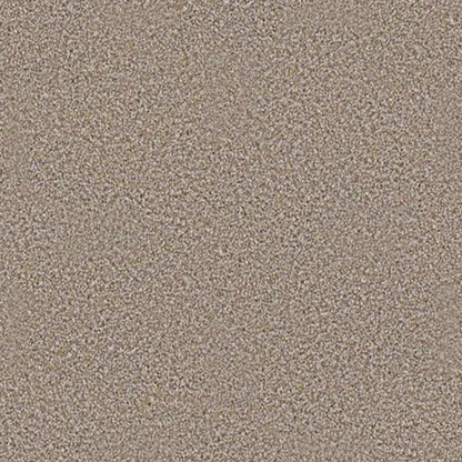 ALWAYS READY I in Summerville Carpet