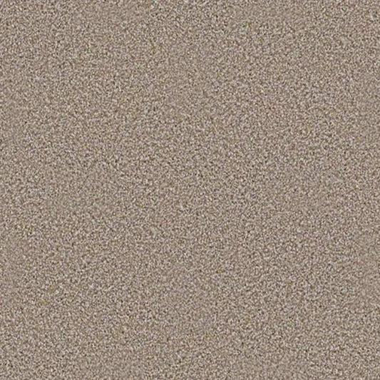 ALWAYS READY I in Summerville Carpet