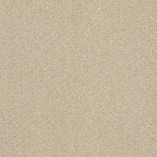 INFALLIBLE INSTINCT in Studio Taupe