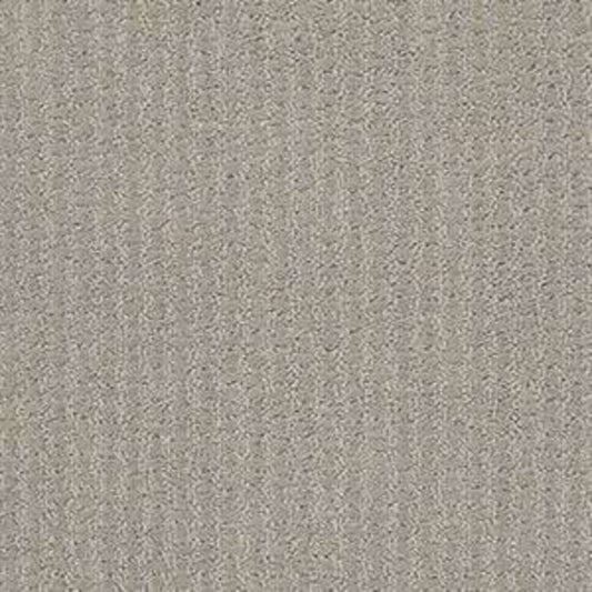COMPLETE CONTROL in Silhouette Carpet
