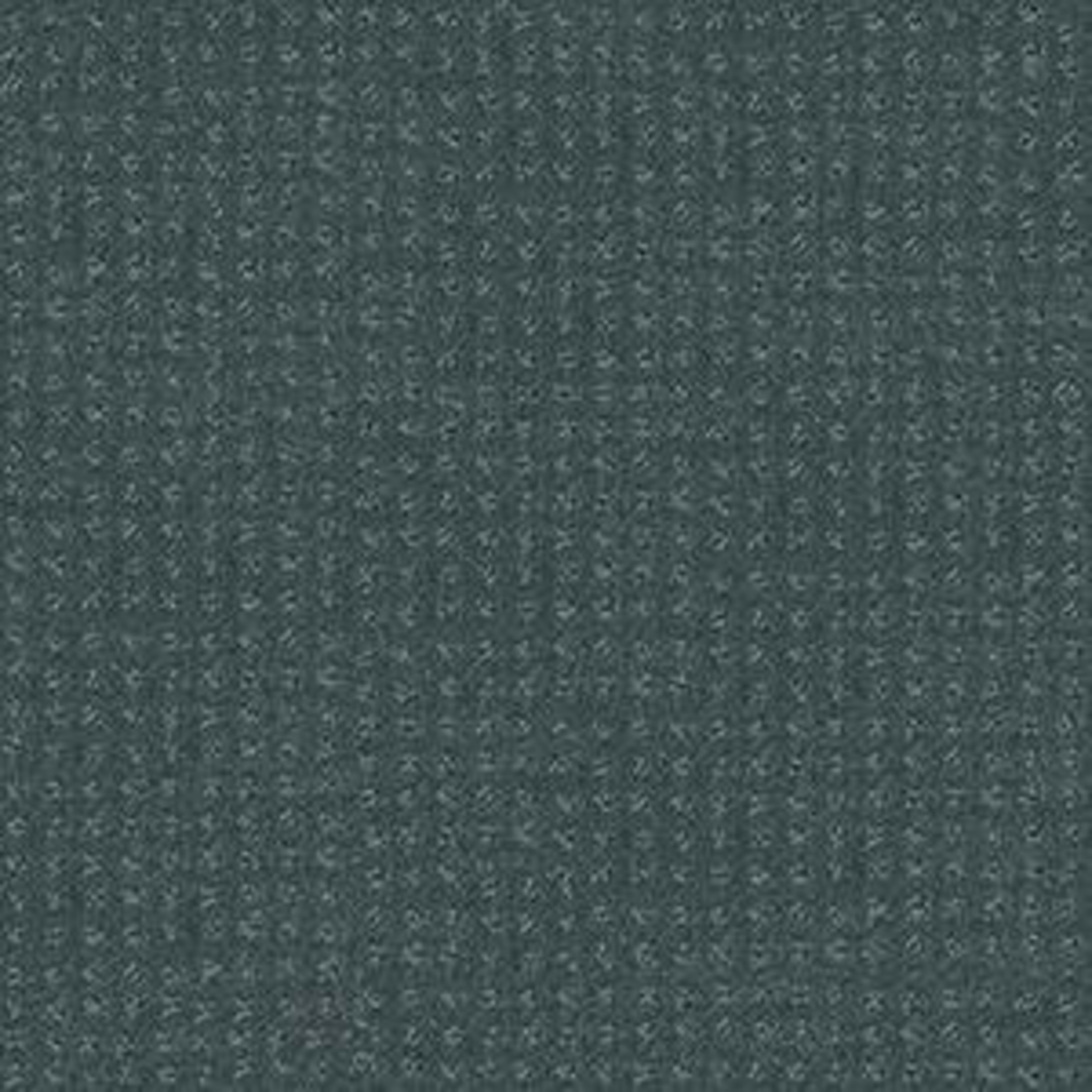 PERPETUAL MOVE in Oceanside Carpet