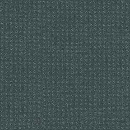 PERPETUAL MOVE in Oceanside Carpet