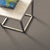 ALLURING DISPOSITION in Slate