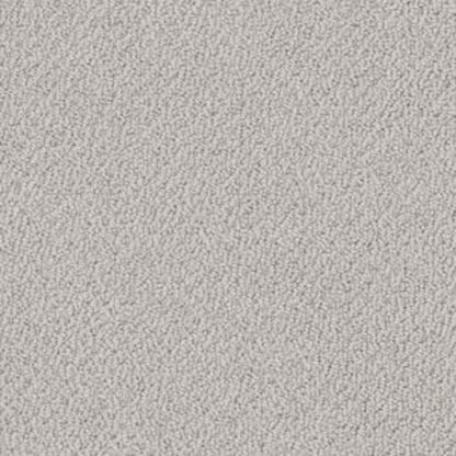 SMART THINKING in Lady In Gray Carpet