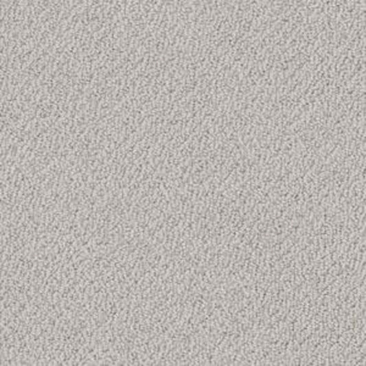 SMART THINKING in Lady In Gray Carpet