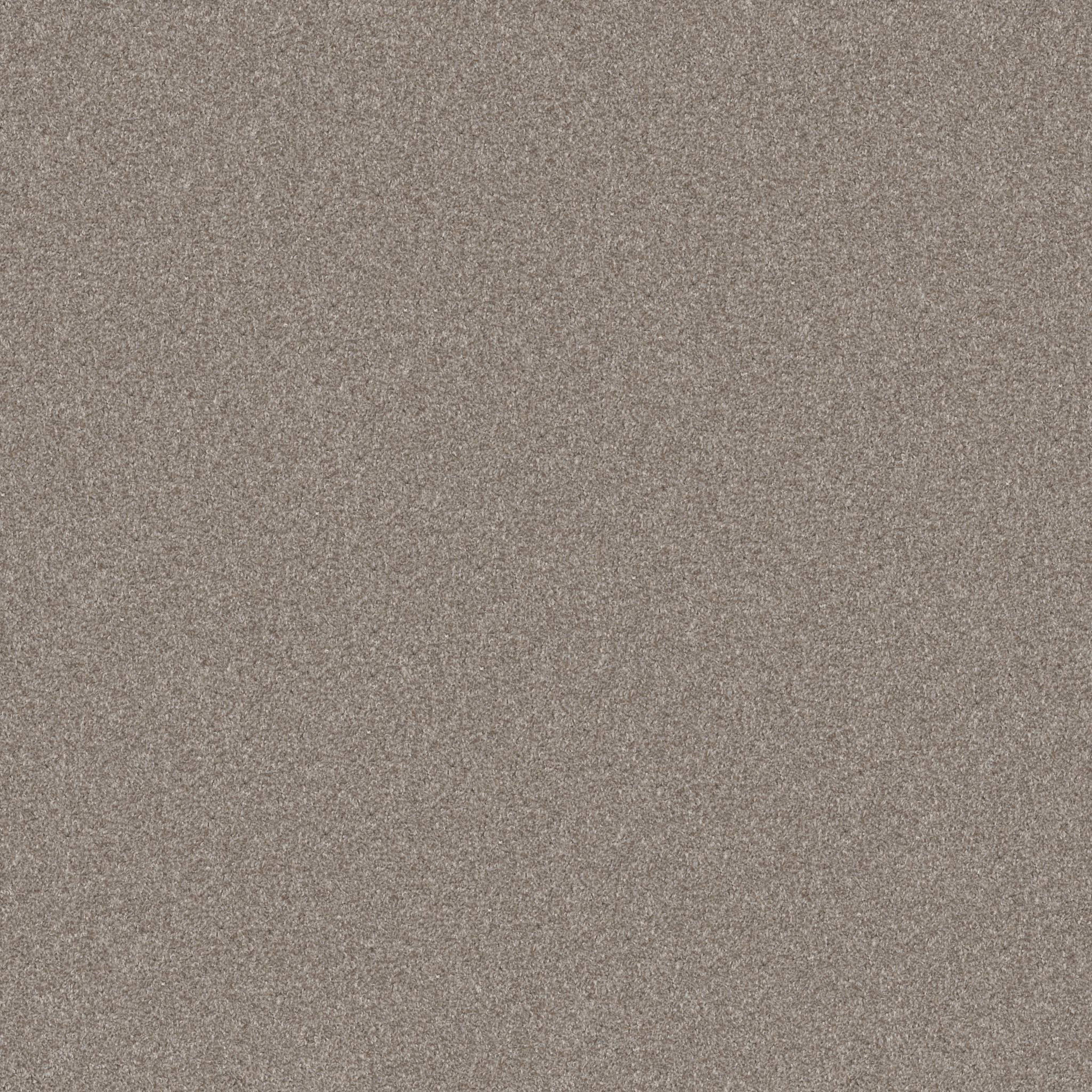 ALL OVER IT I in London Fog Carpet