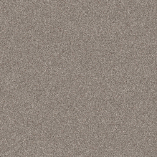 ALL OVER IT I in London Fog Carpet