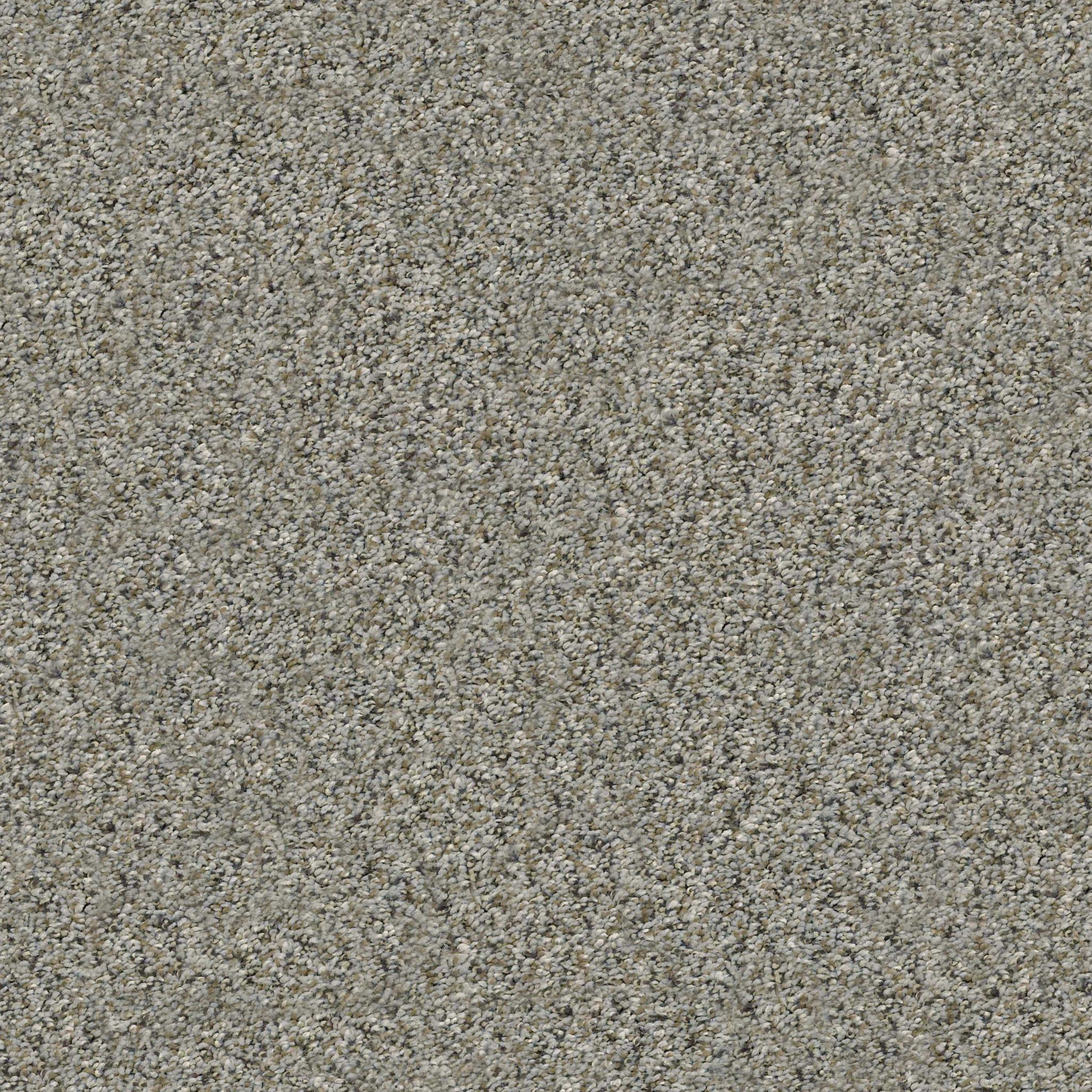 ALL SET I in Rhino Carpet