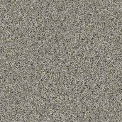 ALL SET I in Rhino Carpet