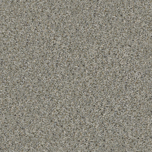 ALL SET I in Rhino Carpet