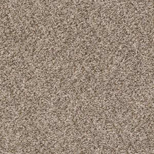 CABANA BAY (B) in Mesa Carpet