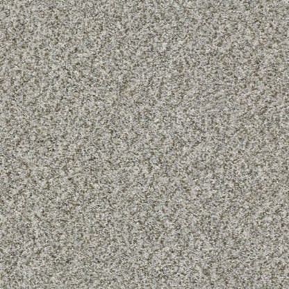 CABANA LIFE (B) in Stone