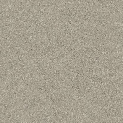 MOMENTUM I