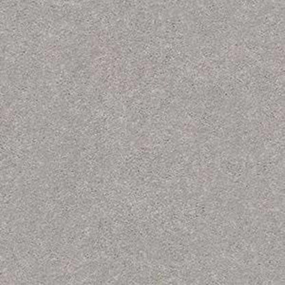 MOMENTUM I in Subtle Touch Carpet