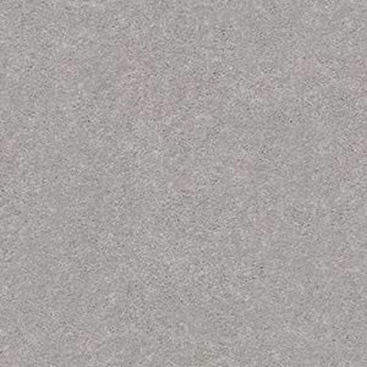 MOMENTUM I in Subtle Touch Carpet