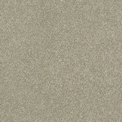 MOMENTUM II