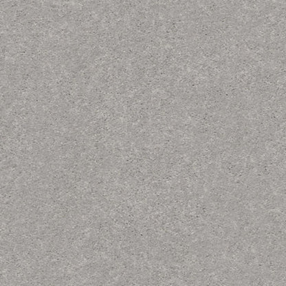 MOMENTUM II