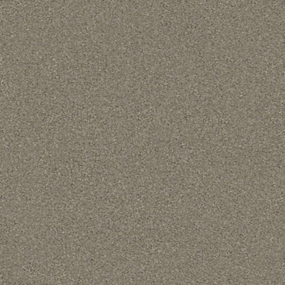 MOMENTUM II