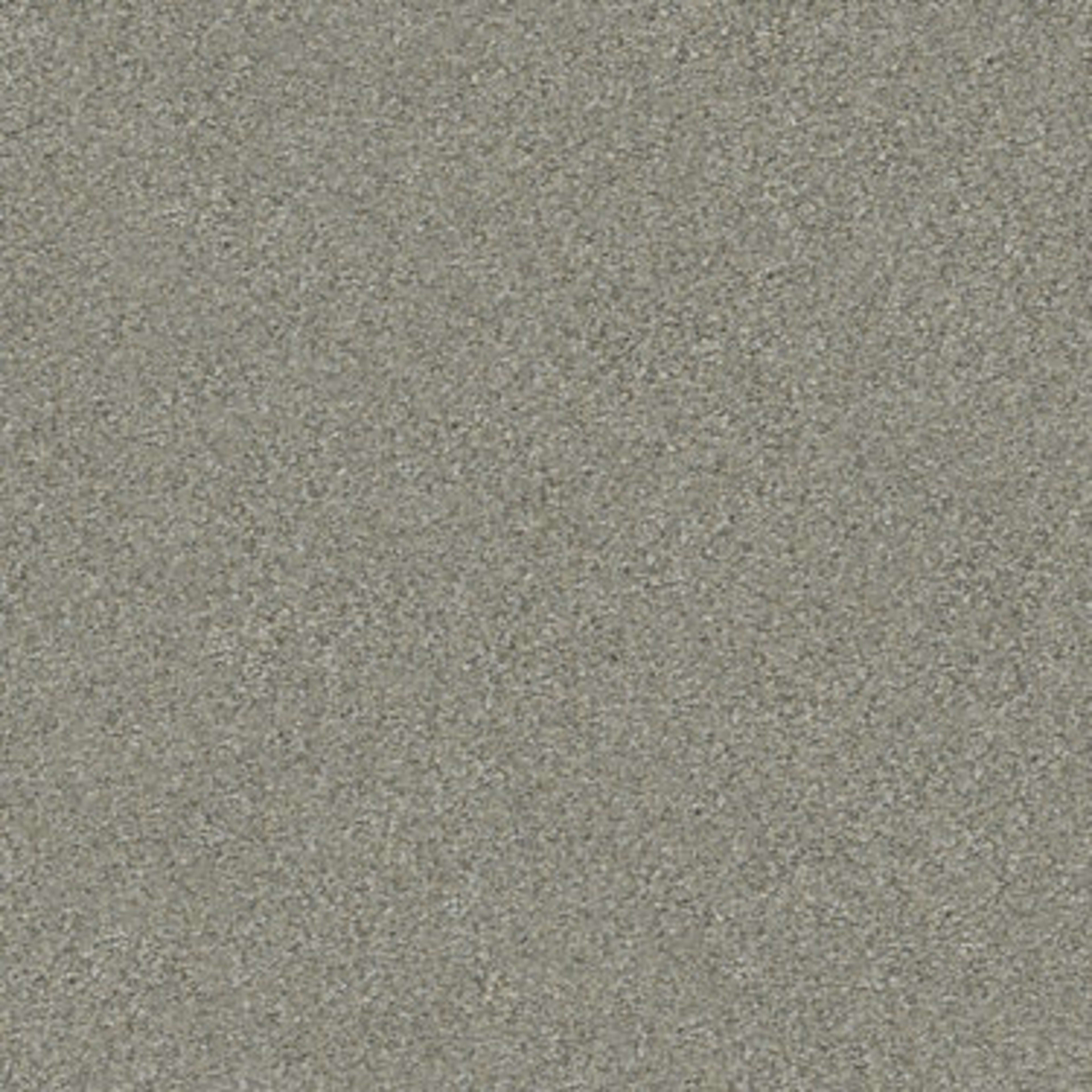 MOMENTUM II in Rockslide Carpet