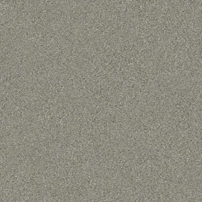 MOMENTUM II in Rockslide Carpet