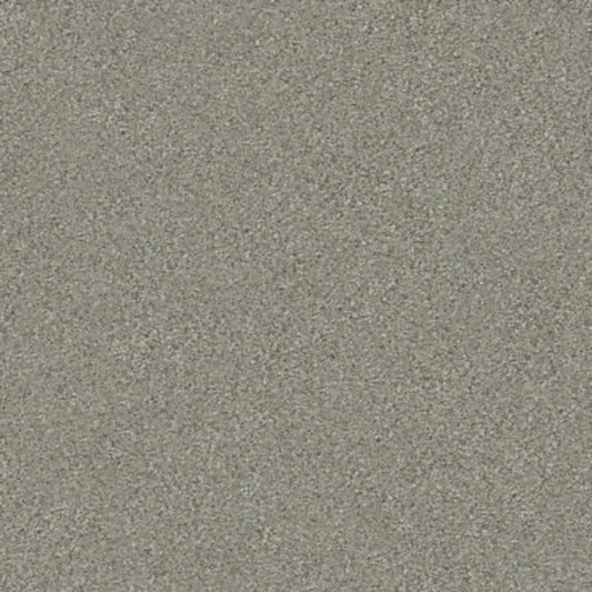 MOMENTUM II in Rockslide Carpet