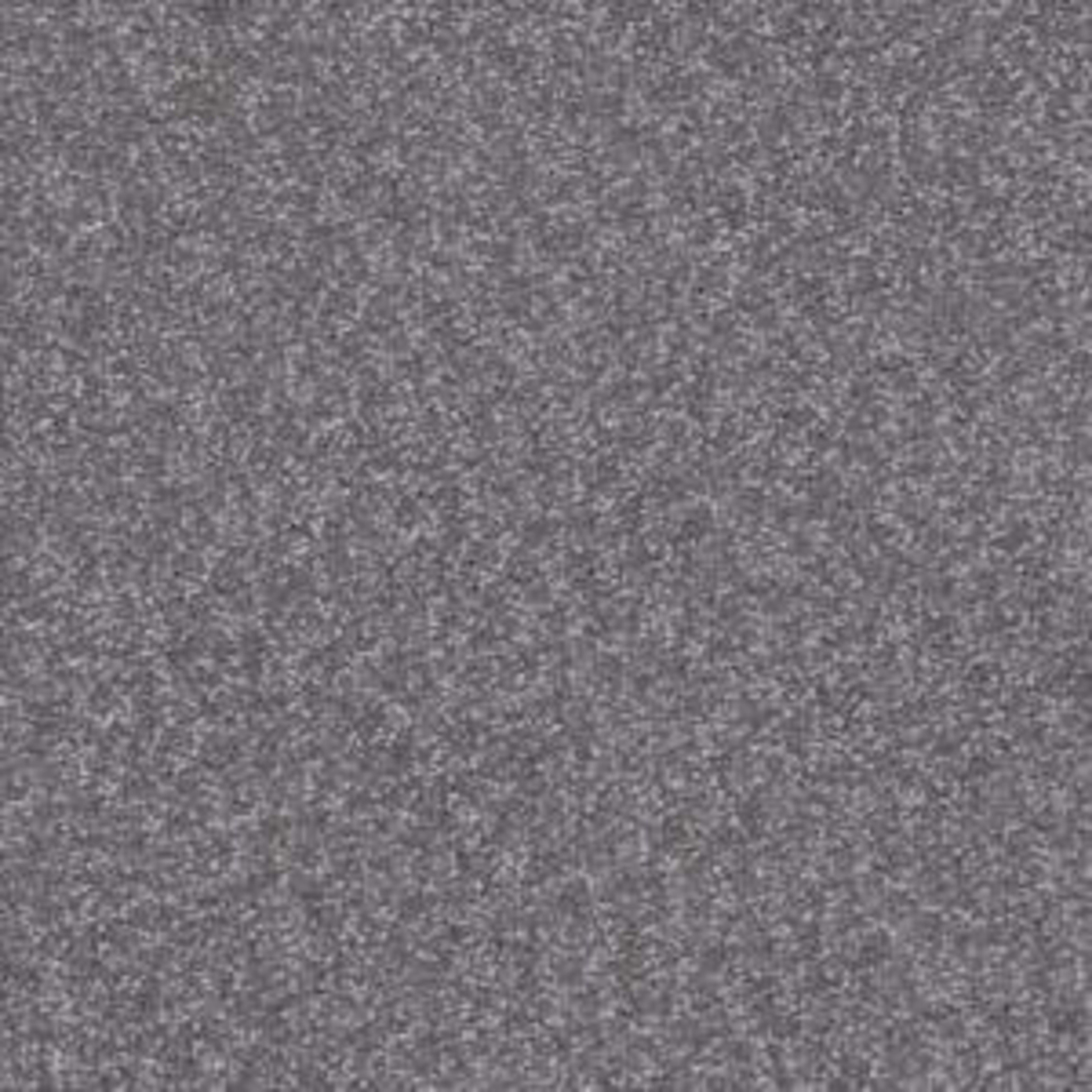 Shingle Creek I 12 in Slate Carpet