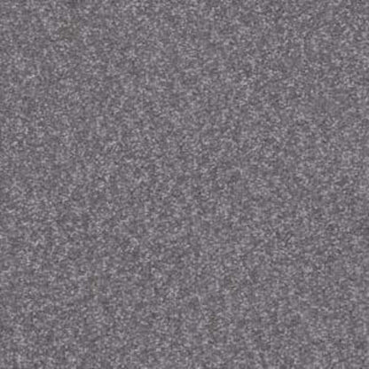 Shingle Creek I 12 in Slate Carpet