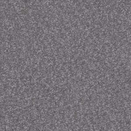 Shingle Creek I 12 in Slate Carpet