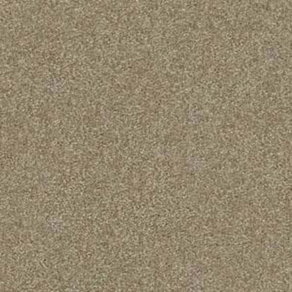Shingle Creek III 12' in Chinchilla Carpet